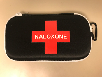 A naloxone kit A naloxone kit