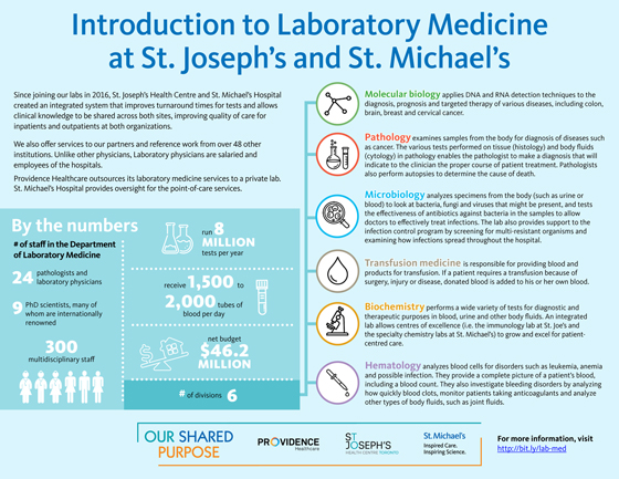 Infographic: The text on the infographic is the text of the story above