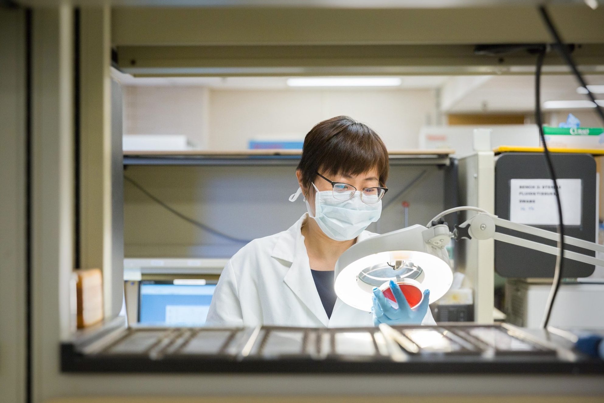 Laboratory Medicine Unity Health Toronto